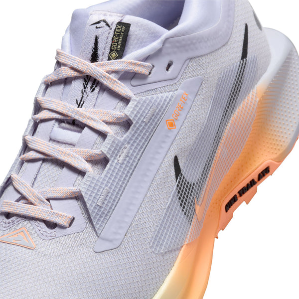 Nike Womens Pegasus Trail 5 GTX (Ghost/Black/Malt/Orange Pulse)