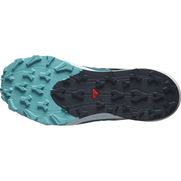 Salomon Mens Thundercross (Carbon/Tahitian Tide/Peacock Blue)